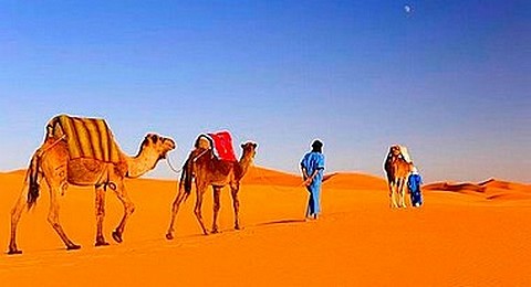TOURS DESERT1B 2 - TOURS