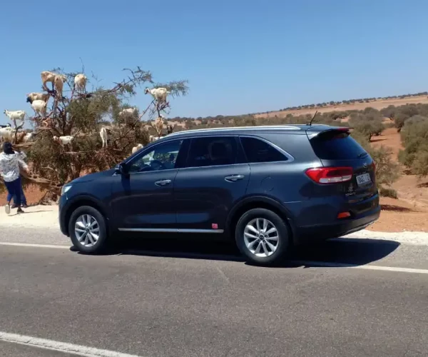 Taxi-Essaouira-Marrakech Taxi-Essaouira-Marrakech